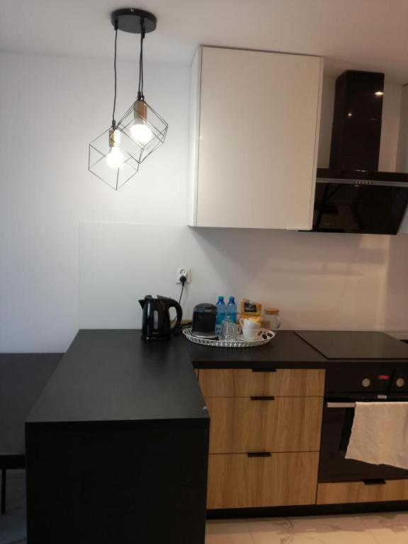 Apartament Przy Parku Радом Екстериор снимка